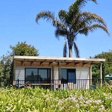 Mount And Surf View Cabin Pataua Dış mekan fotoğraf